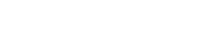 Prolancit — Content & Learning Services